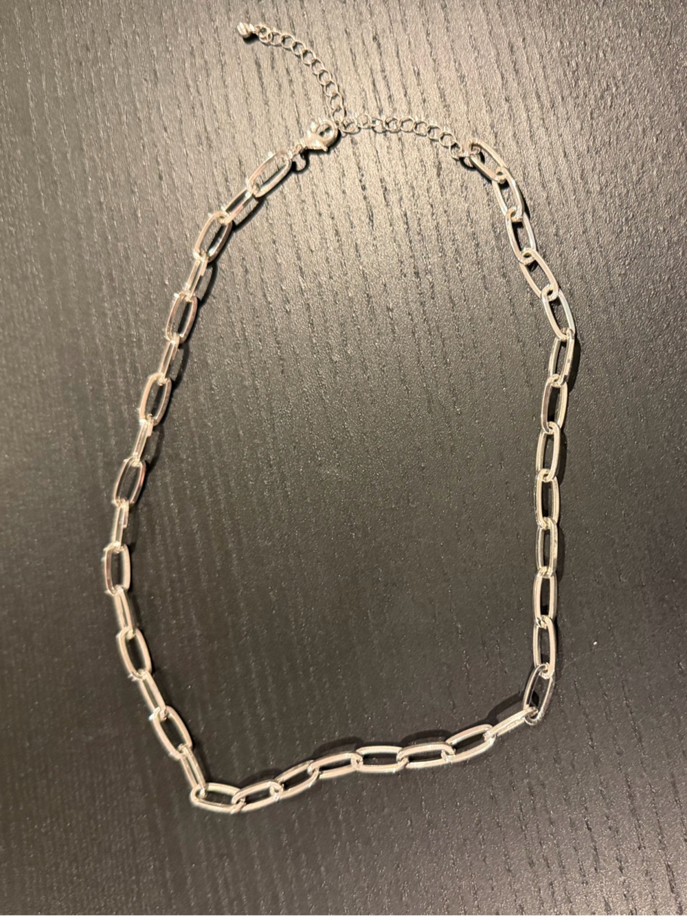 paperclip-style necklace